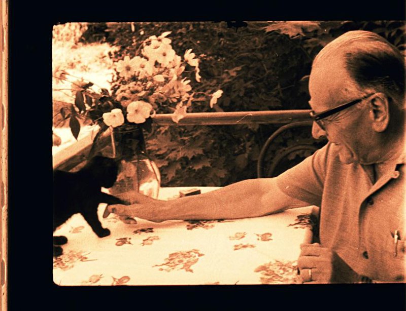 Негатив ч/б. Паустовский К. Г. играет с котенком. Солотча. Лето 1966 г.