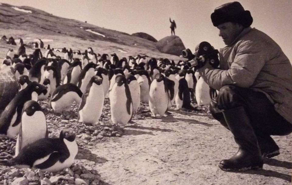 Снимает оператор А.С. Кочетков. пос. Мирный, Антарктида. 1956 год. Фото из семейного архива.