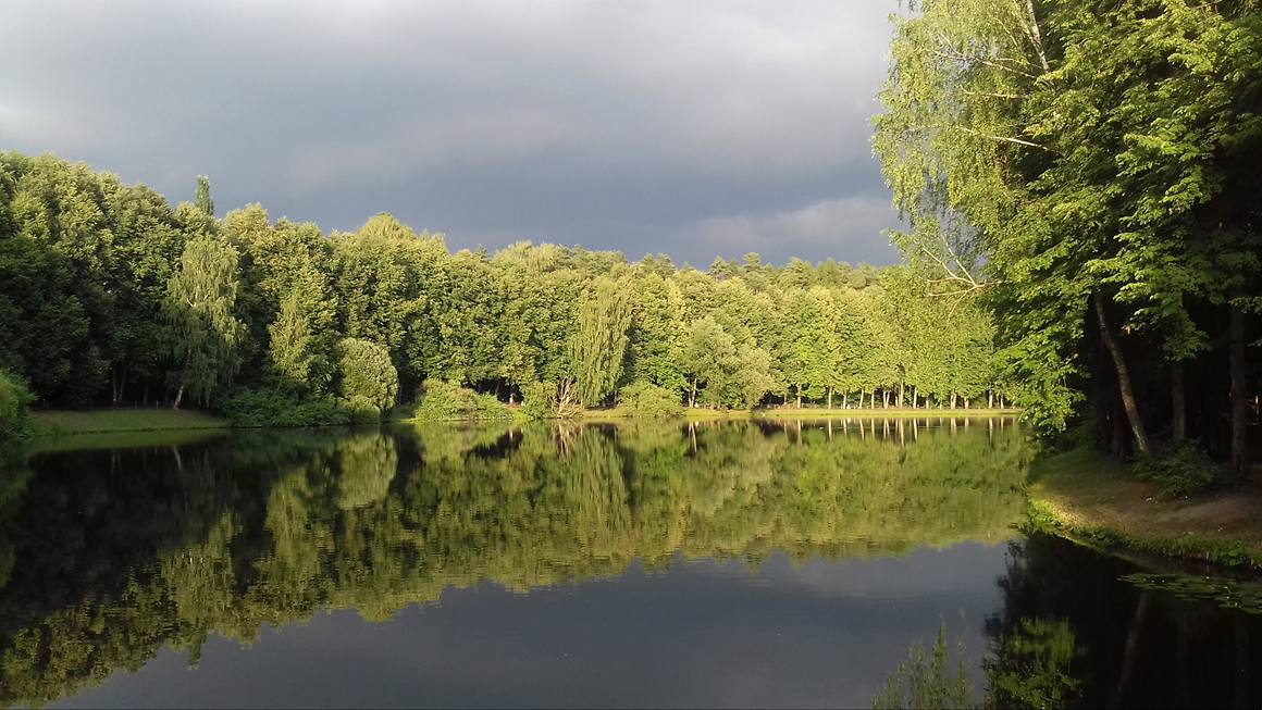 Река ПАХРА летом. Фото Ольги Рязановой.