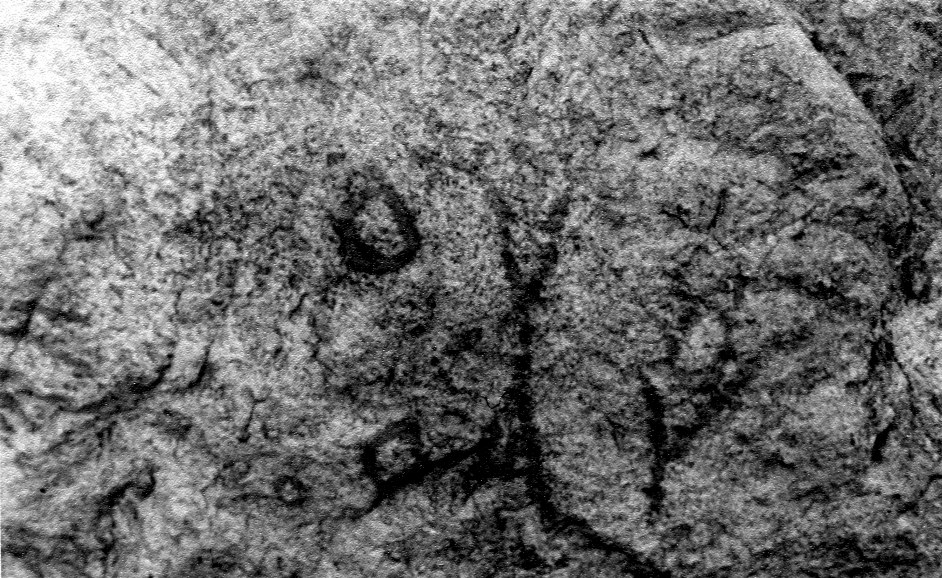 Наскальные рисунки древнего человека в пещере (впоследствии затоплена водохранилищем ГЭС). Автор фото: Георгий Завьялов.