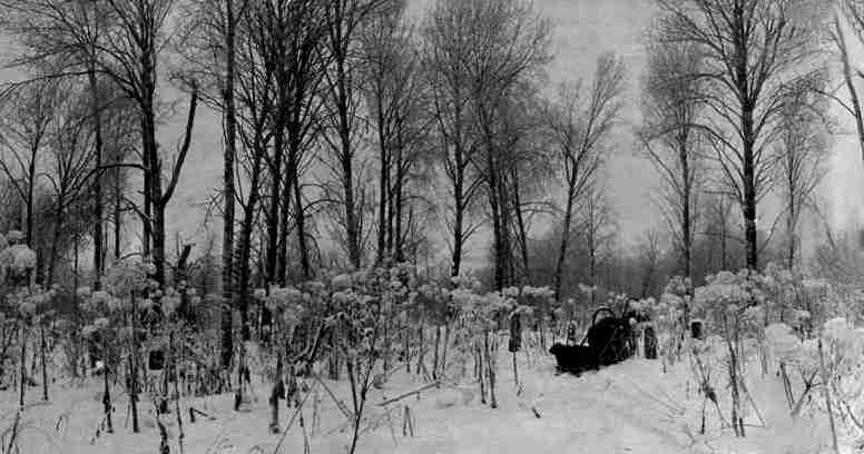 Зимняя дорога. Автор фото: В.П. Монюшко.