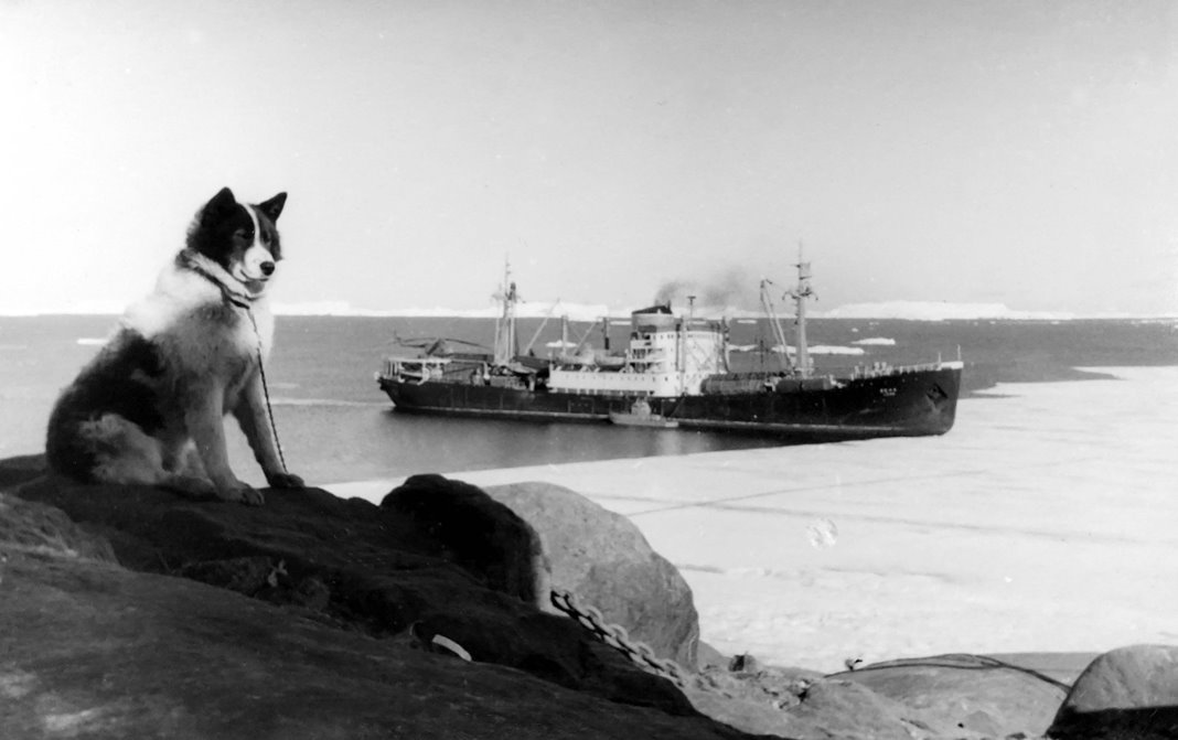 Экспонат #8. Дизель-электроход «Лена» у припая. Антарктида, январь 1957 года