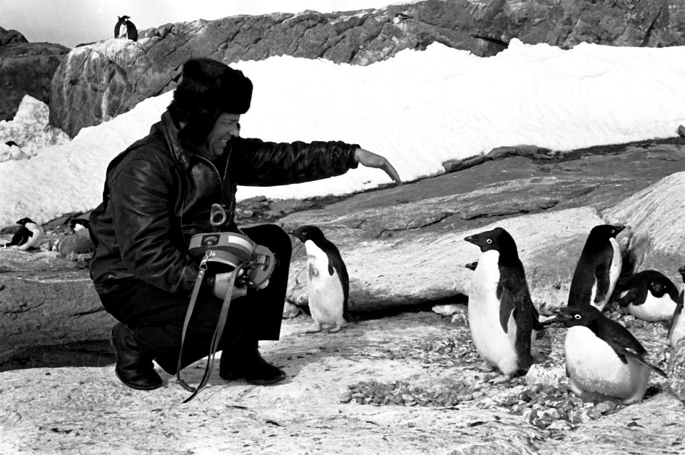 Экспонат #18. Фотосессия с пингвинами